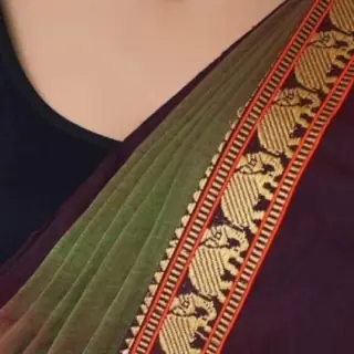 Narayanpeth Cotton Saree — Temple Border